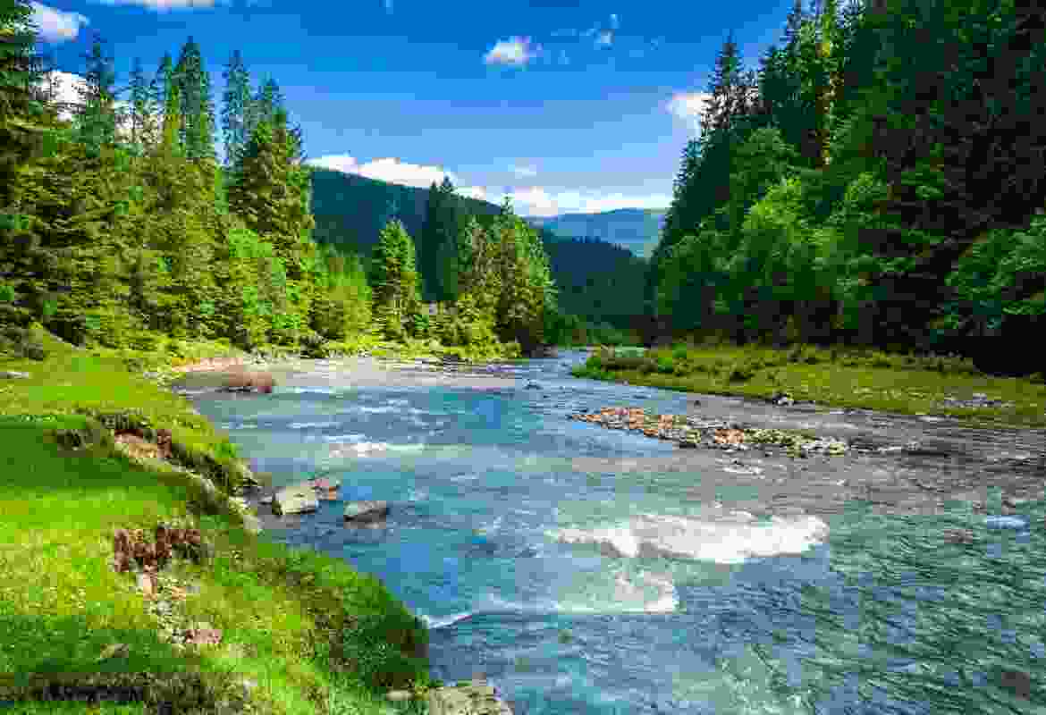 Fern Hills River